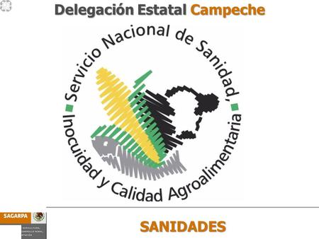 Programa de Prevención y Manejo de Riesgos Subcomponente SANIDADES SANIDADES Delegación Estatal Campeche.