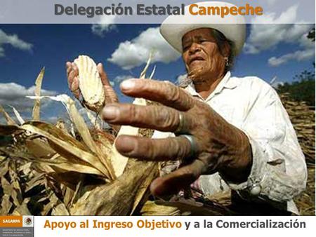 Programa Prevención y Manejos de Riesgo Apoyo al Ingreso Objetivo y a la Comercialización Delegación Estatal Campeche Apoyo al Ingreso Objetivo y a la.