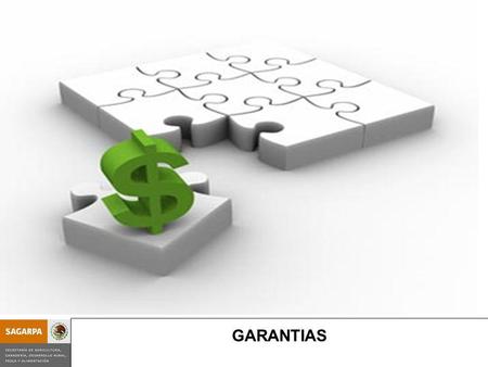 Programa de Prevención y Manejo de Riesgos SubcomponenteGarantías GARANTIAS.