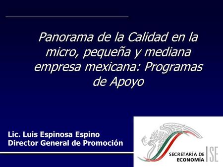 Panorama de la Calidad en la micro, pequeña y mediana empresa mexicana: Programas de Apoyo Lic. Luis Espinosa Espino Director General de Promoción.
