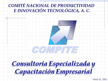 COMPITE Consultoría Especializada y Capacitación Empresarial