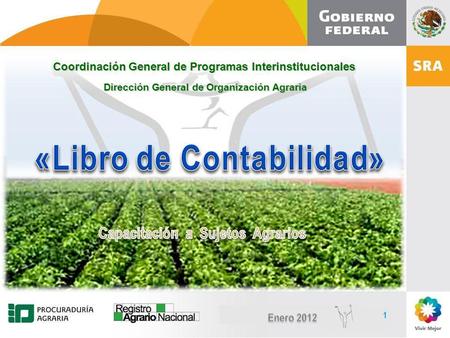Diciembre, 2010 1 1 Coordinación General de Programas Interinstitucionales Dirección General de Organización Agraria.