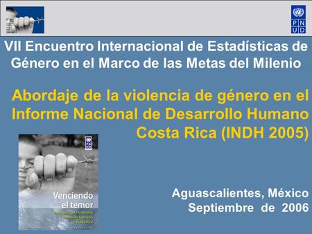 VII Encuentro Internacional de Estadísticas de Género en el Marco de las Metas del Milenio Abordaje de la violencia de género en el Informe Nacional de.