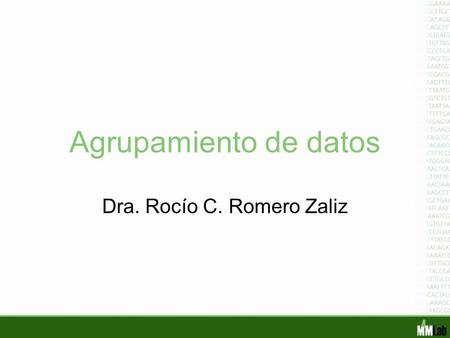 Dra. Rocío C. Romero Zaliz