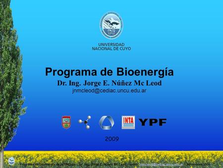 Programa de Bioenergía Dr. Ing. Jorge E. Núñez Mc Leod