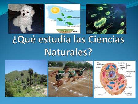 ¿Qué estudia las Ciencias Naturales?