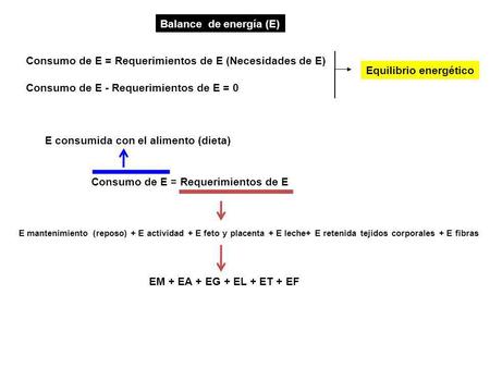 Consumo de E = Requerimientos de E (Necesidades de E)