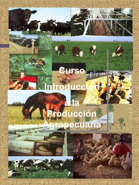 Curso Introducción a la Producción Agropecuaria Curso Introducción a la Producción Agropecuaria.