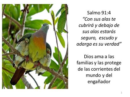 Salmo 91:4 “Con sus alas te cubrirá y debajo de sus alas estarás seguro, escudo y adarga es su verdad” Dios ama a las familias y las protege de las corrientes.
