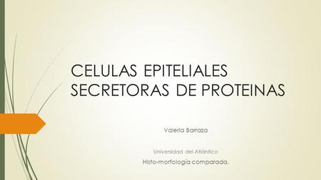 CELULAS EPITELIALES SECRETORAS DE PROTEINAS
