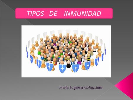 TIPOS DE INMUNIDAD María Eugenia Muñoz Jara. TIMO Maduran los timocitos o células T BAZO: Almacena y madura los linfocitos T y B, filtra la sangre,
