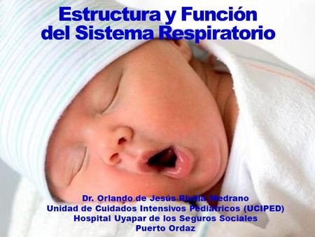 Estructura y Función del Sistema Respiratorio Dr. Orlando de Jesús Rivilla Medrano Unidad de Cuidados Intensivos Pediátricos (UCIPED) Hospital Uyapar de.