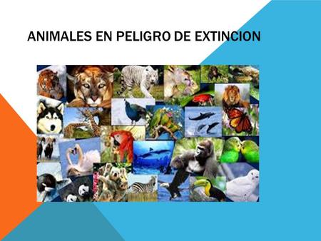 ANIMALES EN PELIGRO DE EXTINCION. En la última década, las especies en peligro de extinción en México han aumento un 25%, lo que sitúa al país en segundo.