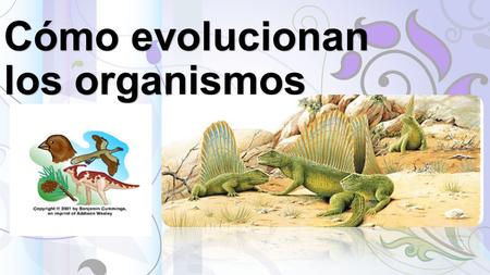 Cómo evolucionan los organismos