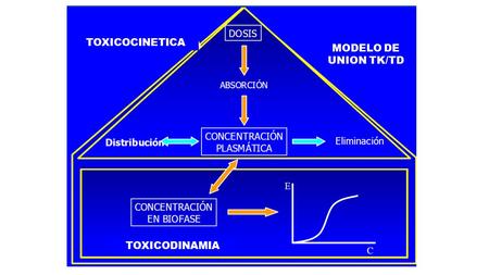 TOXICOCINETICA TOXICODINAMIA MODELO DE UNION TK/TD.