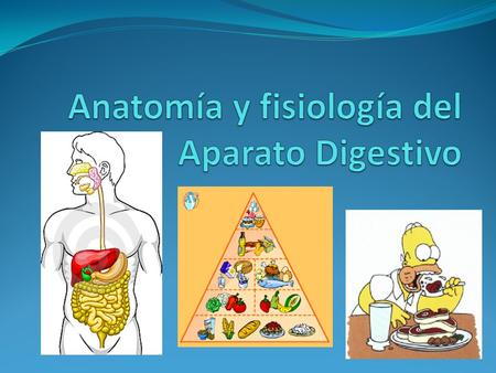 Anatomía y fisiología del Aparato Digestivo