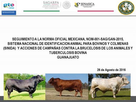 SEGUIMIENTO A LA NORMA OFICIAL MEXICANA, NOM-001-SAG/GAN-2015, SISTEMA NACIONAL DE IDENTIFICACION ANIMAL PARA BOVINOS Y COLMENAS (SINIDA) Y ACCIONES DE.