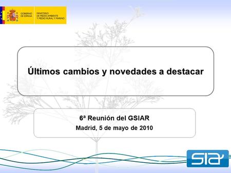 Últimos cambios y novedades a destacar 6ª Reunión del GSIAR Madrid, 5 de mayo de 2010.