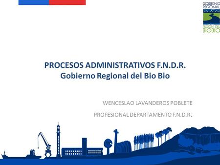 Alto Biobío PROCESOS ADMINISTRATIVOS F.N.D.R. Gobierno Regional del Bio Bio WENCESLAO LAVANDEROS POBLETE PROFESIONAL DEPARTAMENTO F.N.D.R.
