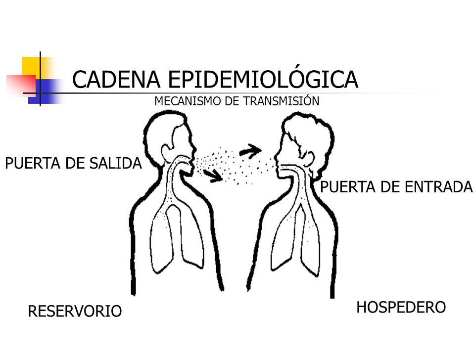 cadena epidemiologica vias de transmision d 205 a del m 201 dico venezolano ppt video online descargar cadena epidemiologica vias de transmision d 205 a del m 201 dico venezolano ppt video online descargar