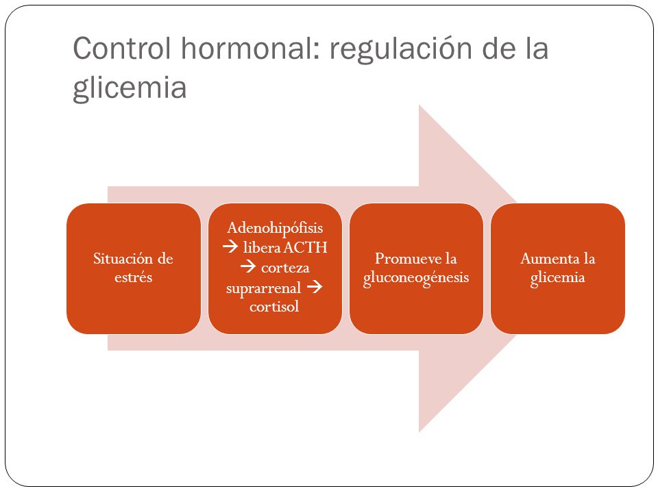 Función reguladora de las hormonas - ppt descargar Función reguladora de las hormonas - ppt descargar