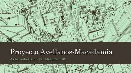 Proyecto Avellanos-Macadamia Aicha Isabel Sandoval Alaguna 1101.
