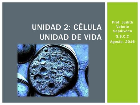Prof. Judith Valerio Sepúlveda S.S.C.C Agosto, 2016 UNIDAD 2: CÉLULA UNIDAD DE VIDA.
