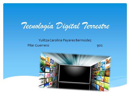 Tecnología Digital Terrestre Yulitza Carolina Payares Bermúdez Pilar Guerrero 902.