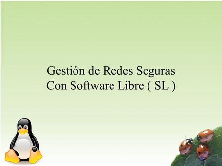 Gestión de Redes Seguras Con Software Libre ( SL )