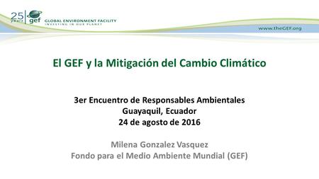 3er Encuentro de Responsables Ambientales Guayaquil, Ecuador 24 de agosto de 2016 Milena Gonzalez Vasquez Fondo para el Medio Ambiente Mundial (GEF) El.