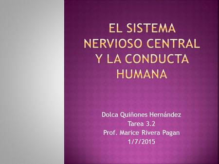 Dolca Quiñones Hernández Tarea 3.2 Prof. Marice Rivera Pagan 1/7/2015.