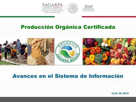 Producción Orgánica Certificada Avances en el Sistema de Información Junio de 2016.