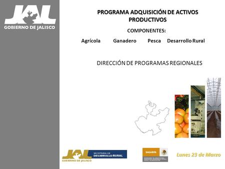 PROGRAMA ADQUISICIÓN DE ACTIVOS PRODUCTIVOS COMPONENTES: Agrícola Ganadero Pesca Desarrollo Rural DIRECCIÓN DE PROGRAMAS REGIONALES Lunes 23 de Marzo Lunes.