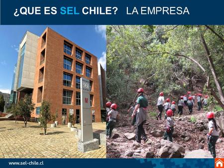 ¿QUE ES SEL CHILE? LA EMPRESA. ¿QUÉ ES SEL CHILE ? LA EMPRESA Nombre: Sel Chile Ltda. Patrimonio: US$ 2,5 millones. Accionistas: WebClass Learning Management.