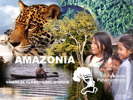 AMAZONIA VAMOS AL LLAMADO DEL BOSQUE. SOMOS PARTE DEL PLANETA TIERRA Cubre el 5 % de la superficie terrestre y el 70% de América del Sur La comparten.