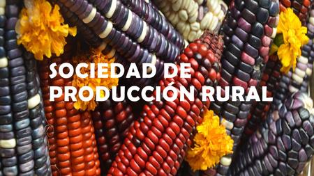 SOCIEDAD DE PRODUCCIÓN RURAL. Sociedades de producción rural.