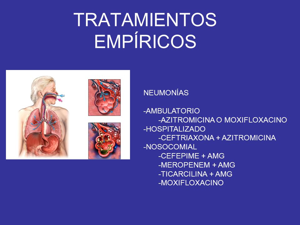 REPASO BISHOS. - ppt descargar REPASO BISHOS. - ppt descargar