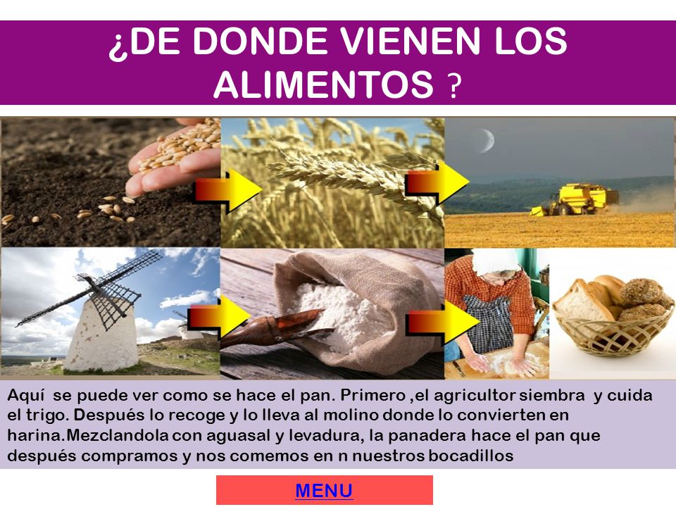 LOS ALIMENTOS NOMBRE:LUZ ANGELA MILLAN BASTIDAS COLEGIO LOS ALIMENTOS NOMBRE:LUZ ANGELA MILLAN BASTIDAS COLEGIO