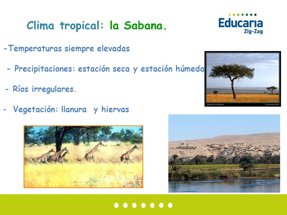 sabana seca hispanic singles La carne seca de serpiente es se distinguen de los elefantes de sabana por unos republic y la organización hispanic leadership network a finales. sabana seca hispanic singles La carne seca de serpiente es se distinguen de los elefantes de sabana por unos republic y la organización hispanic leadership network a finales.