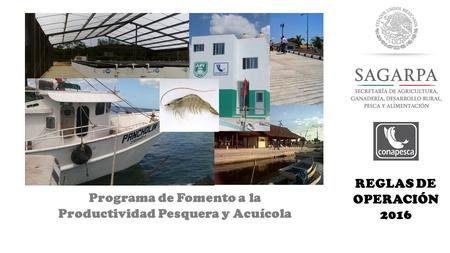 Delegación Estatal CampecheEnero 2016 REGLAS DE OPERACIÓN 2016 Programa de Fomento a la Productividad Pesquera y Acuícola.