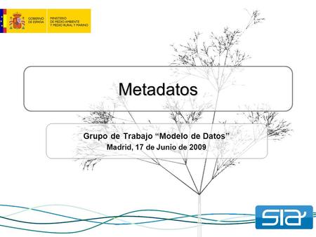 Metadatos Grupo de Trabajo “Modelo de Datos” Madrid, 17 de Junio de 2009.