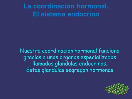 La coordinacion hormonal. El sistema endocrino Nuestra coordinacion hormonal funciona gracias a unos organos especializados llamados glandulas endocrinas.