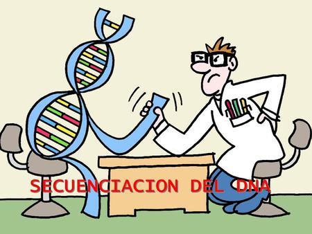 SECUENCIACION DEL DNA SECUENCIACION DEL DNA. La propiedad mas importante del DNA es su secuencia de nucleótidos. La secuenciación es la determinación.