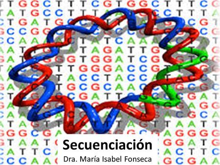 Secuenciación Dra. María Isabel Fonseca. Secuenciación El análisis más detallado de la estructura del ADN consiste en averiguar la secuencia de nucleótidos.