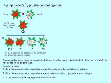 Ejemplos de  2 y prueba de contingencia Queremos saber: 1.- Si la diferencia entre los parentales en cuanto al color de la flor se debe a un solo gen.