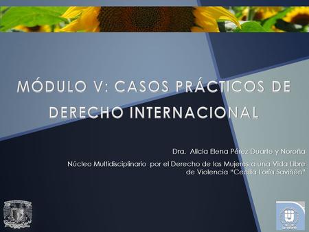 Dra. Alicia Elena Pérez Duarte y Noroña Núcleo Multidisciplinario por el Derecho de las Mujeres a una Vida Libre de Violencia “Cecilia Loría Saviñón”