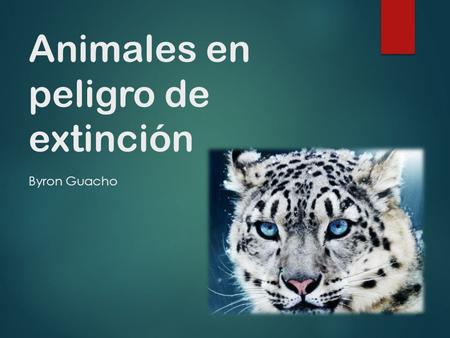 Animales en peligro de extinción Byron Guacho. Top 10 animales en peligro de extinción Numerosas son las especies que se encuentran en la actualidad en.