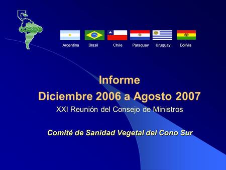 Informe Diciembre 2006 a Agosto 2007 XXI Reunión del Consejo de Ministros Comité de Sanidad Vegetal del Cono Sur ArgentinaBrasilChileParaguayUruguayBolívia.