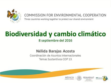 Biodiversidad y cambio climático 8 septiembre del 2016 Nélida Barajas Acosta Coordinación de Asuntos Internacionales Temas Sustantivos COP 13.