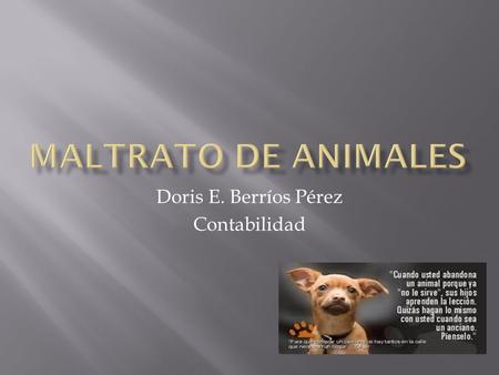 Doris E. Berríos Pérez Contabilidad  A continuación quiero hablarles del maltrato de animales. Hay varios tipos de maltrato esta el de pegarles, echarle.